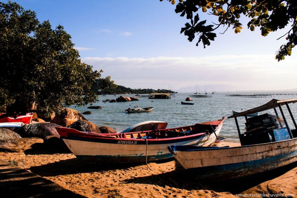 Praias de Florianópolis: Conheça 20 praias incríveis de Floripa